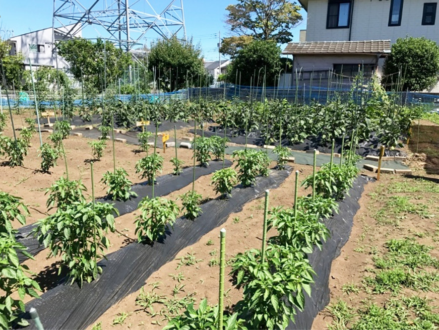 作業室内の様子(和田作業室)